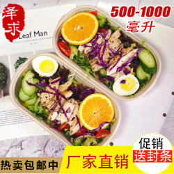 Biodegradable Takeaway Meal Box, Disposable Pulp Lunch Box with Lid, Eco-Friendly Salad Box, Trendy Light Food Bento Box