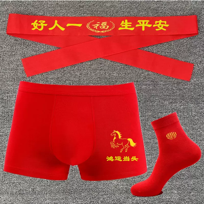 紅男 22 Z900RS｜POWERBOX FULL 4in1 チタンソリッド｜ (2BL-ZR900C