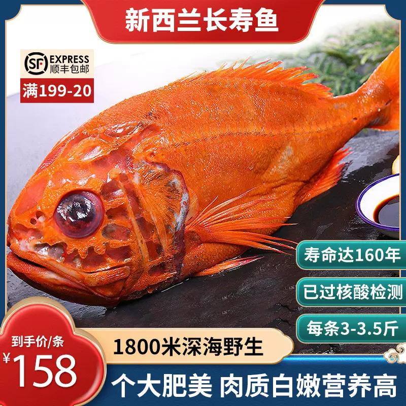 新西兰长寿鱼3 3 5斤 条新鲜富贵鱼南极长寿红鱼橙鲷鱼深海鱼包邮 Taobao