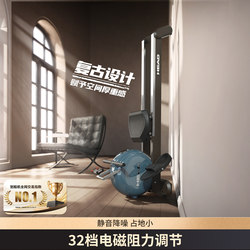 Head Rowing Machine Home Fitness Equipment Small Smart Exercise Magnetic Resistance Cardio Back Pull Dual Track Indoor Rowing