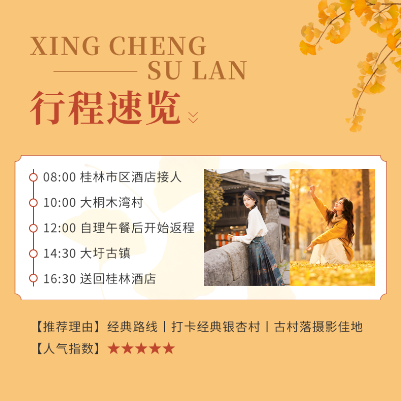 桂林一日游海洋乡银杏灵川跟团游2-8人纯玩大桐木湾大圩亲子拍照