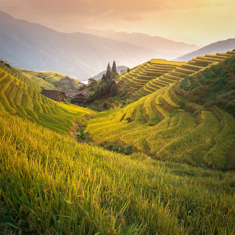 龙脊梯田2天1晚私家团纯玩桂林阳朔旅游金坑大寨平安寨二日游