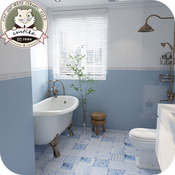 Blue Fresh-Style Bathroom Tiles 200*200 Patterned Tiles for Bathroom, Kitchen, Balcony, Entryway, Living Room, and Dining Room Wall and Floor Tiles