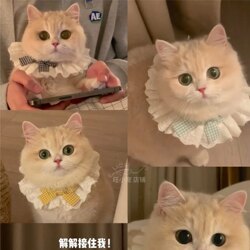Mint-Colored Cat Bib Saliva Towel Dog Collar Cute Cat Saliva Bib Sweet Pet Decoration Bow Tie