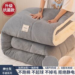 Thickened Warm Milk Velvet Winter Quilt, Ultra-Thick Winter Quilt, Winter Quilt Core, Winter Bedding