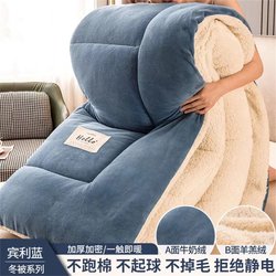 Thickened 5kg Milk Velvet Lamb Fleece Double-Sided Fleece Winter Quilt Core Spring and Autumn Quilt Winter Student Dormitory Single Quilt