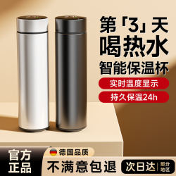 Smart Thermos Cup for Women, High Appearance Value, 2025 New Model, Large Capacity, Tea and Water Separation, Men's Style, Student Vacuum Cup