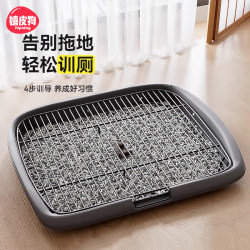 Say goodbye to dirty hands丨Don't step on shit and leak urine to teach the toilet