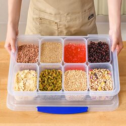 Ice Powder Ingredient Box, Special Set of Tools for Setting up Stalls, Commercial Display Box with Lid for Fruit Salad, Seasoning Storage, Small Ingredient Box
