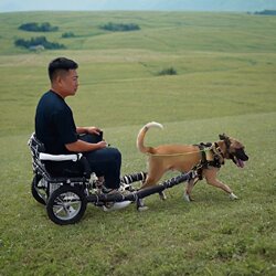 Suitable for 20~40kg Dogs, Lightweight Pet Trailer, Dog Pulling People for Walking, Samoyed Labrador Dog Cart Kit