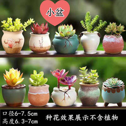 Succulent Flower Pot, Rough Pottery, Green Plant, Ceramic, Simple, Personalized, Creative, Desktop Small Potted Plant, Plain-Fired Pot