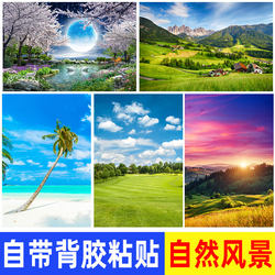 Nature Landscape Scenery Poster Forest Grassland Sea Beach Mural Wallpaper Bedroom Living Room Background Wall Sticker