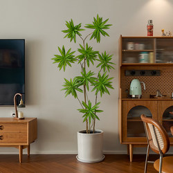 Z5 Artificial Lily Bamboo Large Potted Plant for Living Room, Fake Green Plant with a High-End Feel, Living Room Decoration, Floor-Standing Ornament, Indoor Bonsai