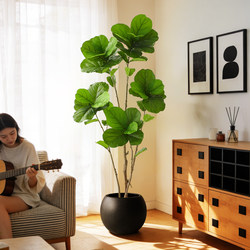 Z3 Artificial Ficus Leaves High-End Indoor Plant Fake Potted Decoration Large Floor-Standing Flower Ornament Fake Tree Biomimetic Green Plant