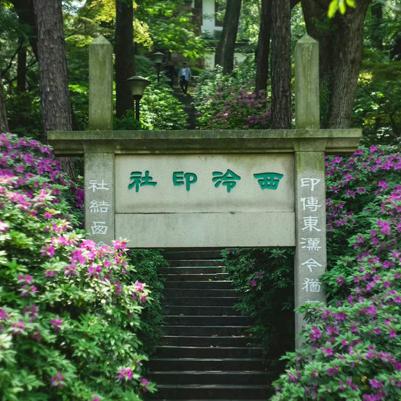 大咖说&bikego 杭州西湖北线半日游 3小时精讲12人小团西湖十景