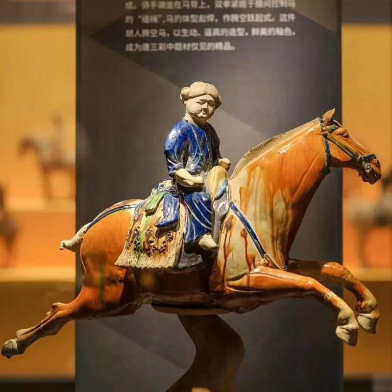 大咖说&bikego西安博物院小雁塔讲解3小时含门票15人小团跟团游