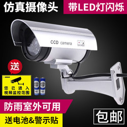 Shop anti-theft simulation camera with light flash