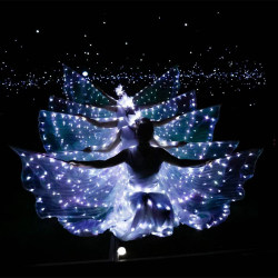 Led Light-Up Wings Ballet Performance Costume Fluorescent Butterfly Dance Cape Dance Costume Belly Dance Cape Props