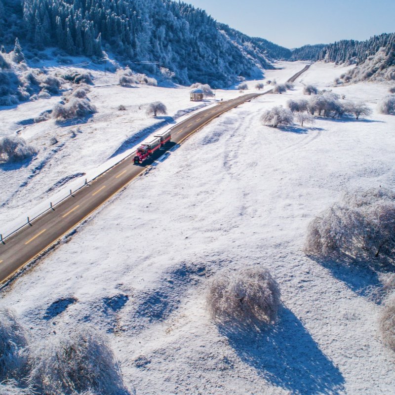 【冰雪仙女山】重庆武隆仙女山滑雪一日游玩雪真纯玩可选树顶漫步