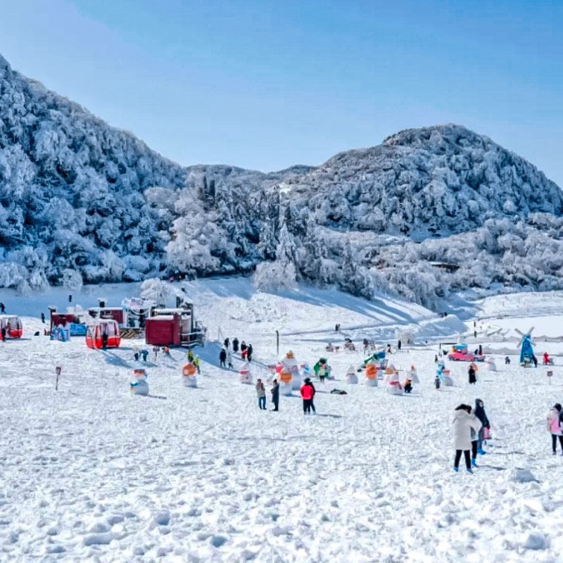 重庆金佛山仙女山南天湖一日游滑雪玩雪纯玩1日游跟团游周边游