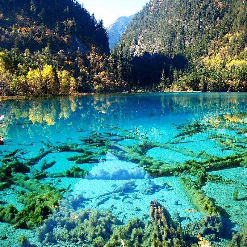 成都出发九寨沟黄龙都江堰熊猫四姑娘山毕棚沟达古冰川4天3晚旅游