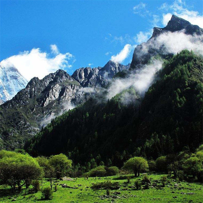 成都周边游 川西阿坝州四姑娘山 毕棚沟双桥沟长坪沟2日跟团纯玩