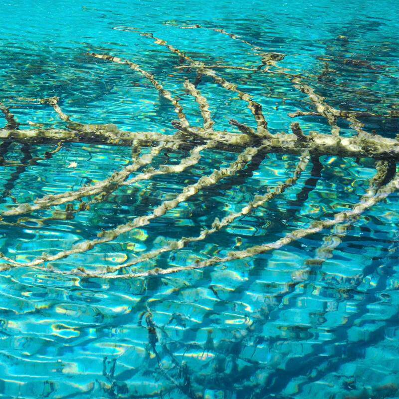 高铁8人小团 成都动车九寨沟黄龙纯玩三日游 可包车私家团 含门票