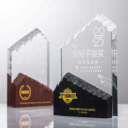 2025 New Creative Annual Meeting Award High-End and Elegant Crystal Trophy for Climbing Peaks, Climbing Mountain Peak Authorization Plaque