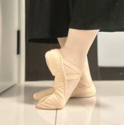 Chinese Dance, Ballet, Ethnic Dance, Men's and Women's Gymnastics, Cheerleading Practice Soft Shoes, Cat Claw Shoes