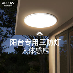 Arrow Brand Lighting Balcony Light Human Body Sensor Light Modern Simple Ultra-Thin High-Brightness Three-Proof Ceiling Light Led Radar Light