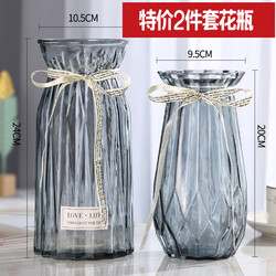 [Two-Piece Set] European-Style Glass Vase, Transparent Colorful Hydroponic Plant Vase, Living Room Decorative Ornament, Flower Arrangement Vase
