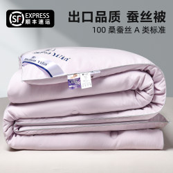 Silk Quilt 100% Mulberry Silk Quilt Core Air-Conditioning Quilt Double Spring and Autumn Quilt for Students Warm Winter Thickened Winter Quilt