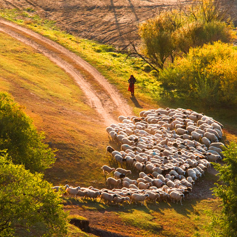 赤峰乌兰布统+越野车+特色餐+达达线+热阿线+石林+玉龙沙湖6天5晚