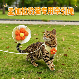 
Special kitten traction rope for Bengal leopard cat, cat pet and kitten anti-breakaway harness, rope for holding the cat