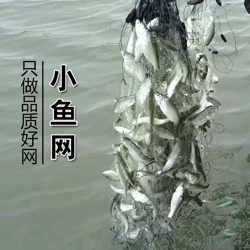 漁網 白魚網 新品（幼教老師?環境佈置漁網素材（不含拍照道具）藍色 
