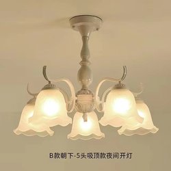 French Pastoral Style Simple Chandelier Bedroom Lamp Warm White Ceiling Lamp Living Room Glass Retro High-End Atmosphere