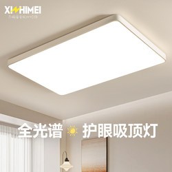 Xinzhimei Full-Spectrum Eye-Protection Living Room Lamp, Simple Modern Atmospheric Hall Lamp, Ceiling Lamp, Trendy Main Lighting Fixture