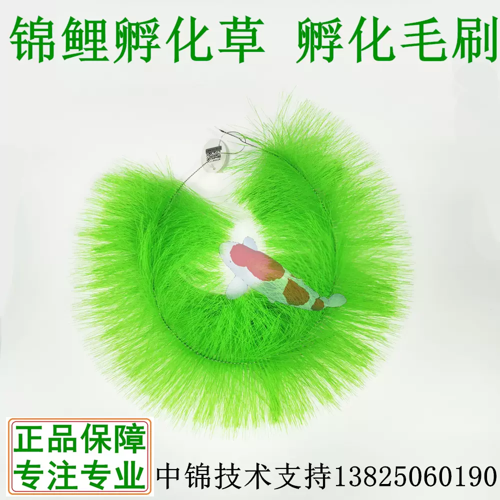 錦鯉孵化草產卵草魚卵孵化毛刷魚池魚卵着牀金魚繁殖水產養殖 Taobao
