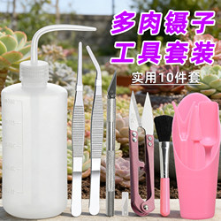10-Piece Succulent Tool Set: Stainless Steel Tweezers, Watering Can, Grafting Knife, Root Pruning Shears, Gardening Tools for Beginners