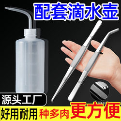 【Matching Watering Can】Stainless Steel Thickened Tweezers, Special Tool Set for Succulents, Shovel, Gardening Clips, Complete Set
