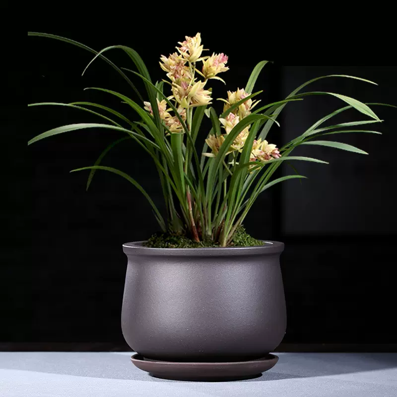 宜興紫砂花盆手工多肉植物微型透氣粗陶盆景盆有孔菖蒲