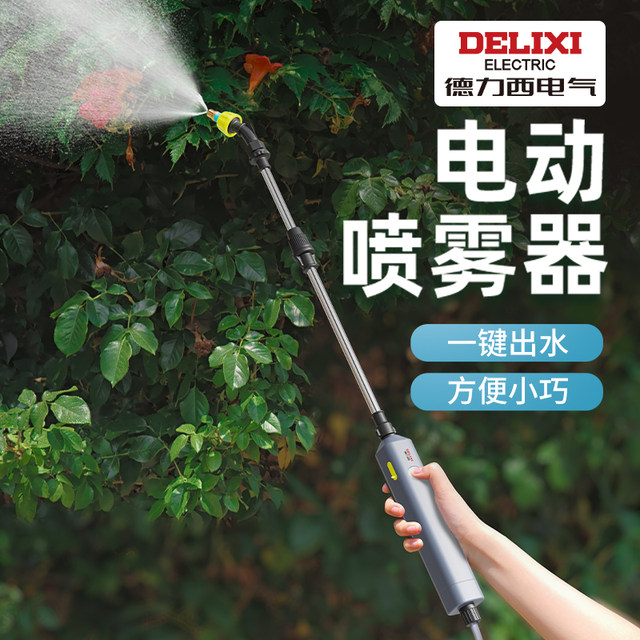 Delixi electric sprayer sprayer sprayer for agricultural sprayer pesticide sprayer small disinfection household flower watering tool