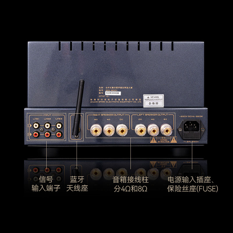 CAYIN 真空管アンプ MT-12 CAYIN MT-12 プリメインアンプ TELEFUNKEN Philips @34565