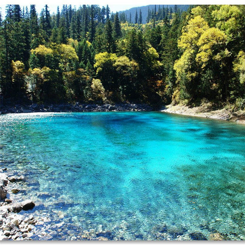 阿坝州九寨沟黄龙都江堰四姑娘山达古冰川3日游纯玩汽车/高铁大团