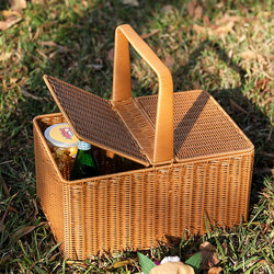Outdoor Portable Storage Box, Lunch Box with Handle, Picnic Basket with Lid, Rattan-Like Weave, Trendy ins Large Picnic Basket