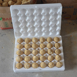 Shockproof Preserved Egg Foam Box, Preserved Egg Foam Box, Pine Flower Egg Foam Box, 30 Preserved Egg Foam Packaging Foam Box