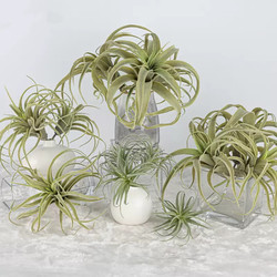 Light Luxury Soft Furnishings, Simple Artificial Air Grass, Modern Model Home Living Room Decoration, Pineapple Plants, Succulent Green Plants