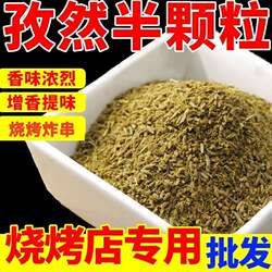 Authentic Xinjiang Half-Grain Cumin Powder Barbecue Seasoning Coarse and Fine Powder Seasoning for Grilled Fish and Fried Skewers