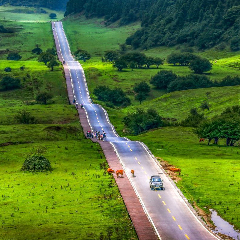重庆武隆一日游 周边旅游纯玩武隆天坑地缝仙女山天生三桥8人小团