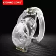 2021 thiết kế vỏ sò có thể tháo rời mới của Kidding Zone, 2 vòng khóa trinh tiết có nắp đậy có thể di chuyển được Khóa trinh tiết